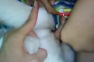 Homemade animal sex
