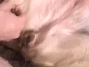 Dog is about to get it real good