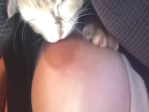 Zoo XXX with a nipple-worshipping cute kitty